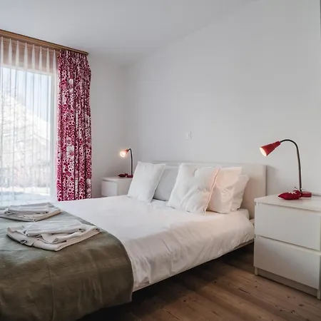 木屋 Chalet Sperling 萨斯费